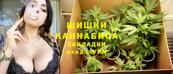 гидра Лиски