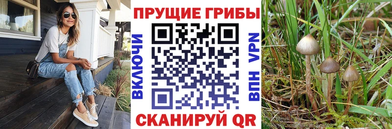 Галлюциногенные грибы мухоморы  Купить где  Микунь 